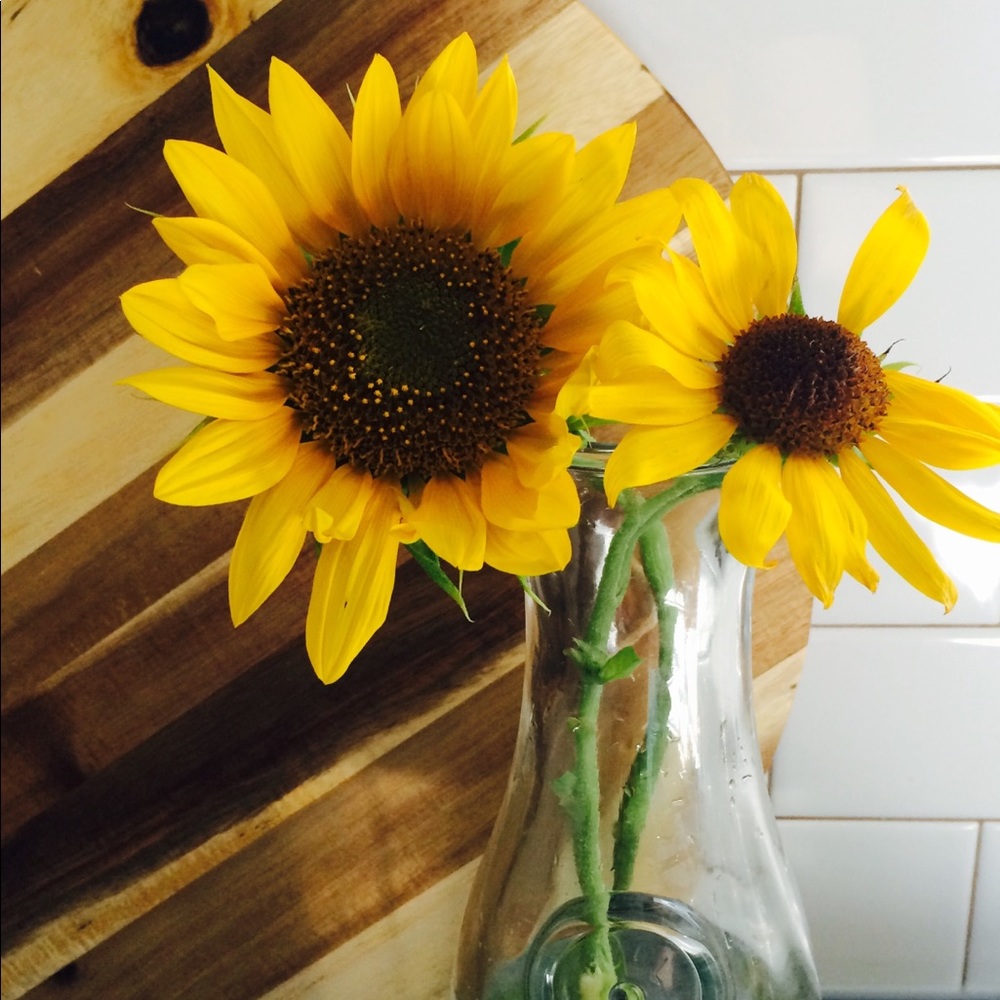 Meet your Posher, Stefanie